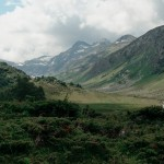 Юлия (Shar)