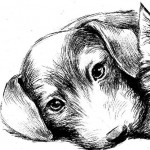Наталья Иванова (kisyuka)
