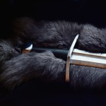 Анастасия (nastja4481)