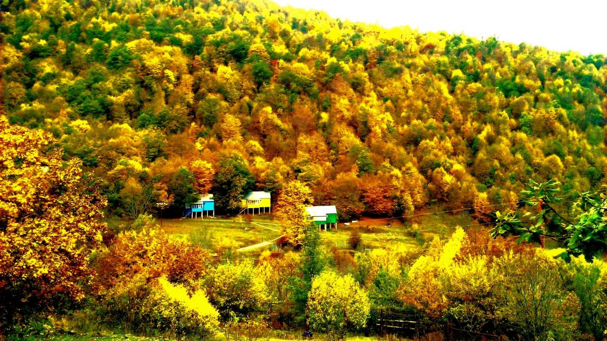 Уютный уголок. По ту сторону цивилизации Уютный уголок. По ту сторону цивилизации
