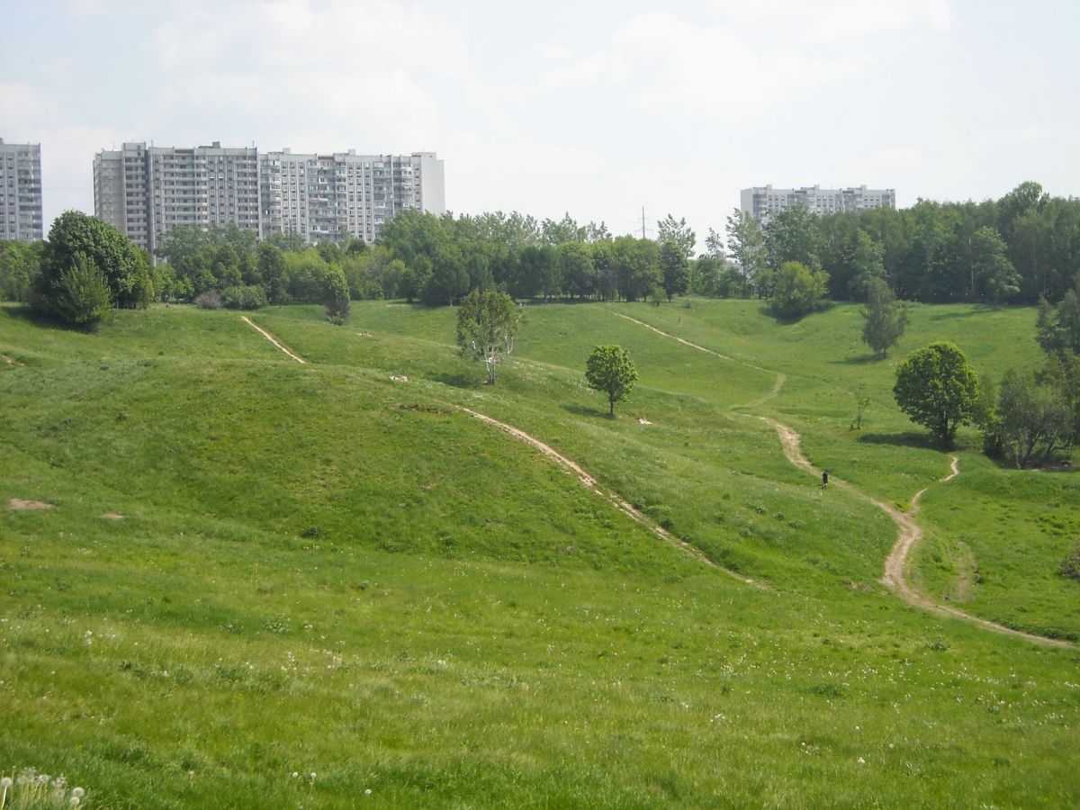 Бараний лоб и курганы Царицыно Бараний лоб и курганы Царицыно