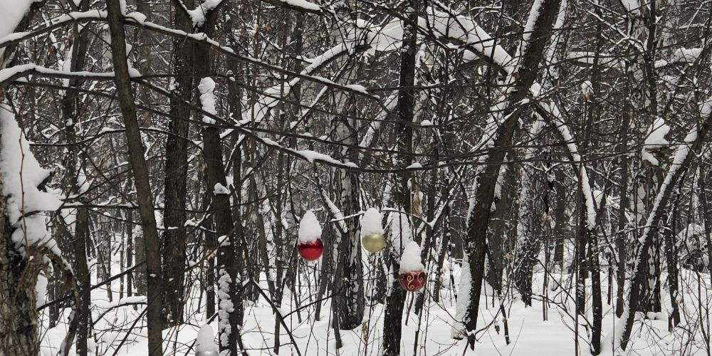 Где покататься на горных лыжах дешево? Где покататься на горных лыжах дешево?
