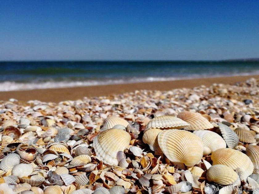 Отдых на Азовском море: какой курорт выбрать Отдых на Азовском море: какой курорт выбрать
