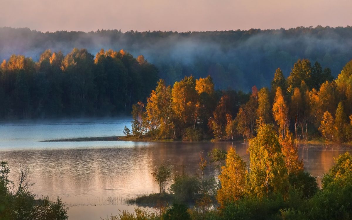 Вепсский лес: место, где живет сказка Вепсский лес: место, где живет сказка