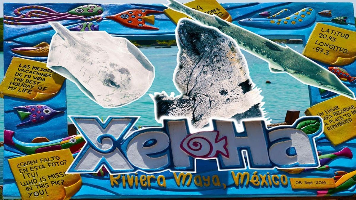 Полный путеводитель по Xel-Ha Park Полный путеводитель по Xel-Ha Park