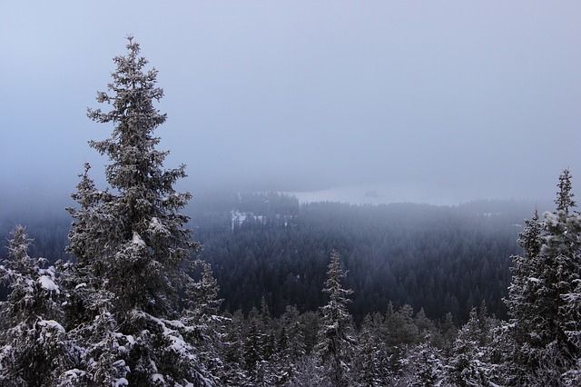 Ruka, лучшее место в Финляндии для зимних видов спорта Ruka, лучшее место в Финляндии для зимних видов спорта