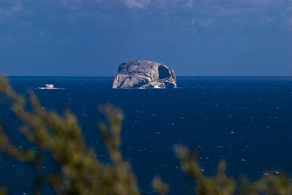 Wilsons Promontory: национальный парк, любимое место отдыха жителей Австралии Wilsons Promontory: национальный парк, любимое место отдыха жителей Австралии