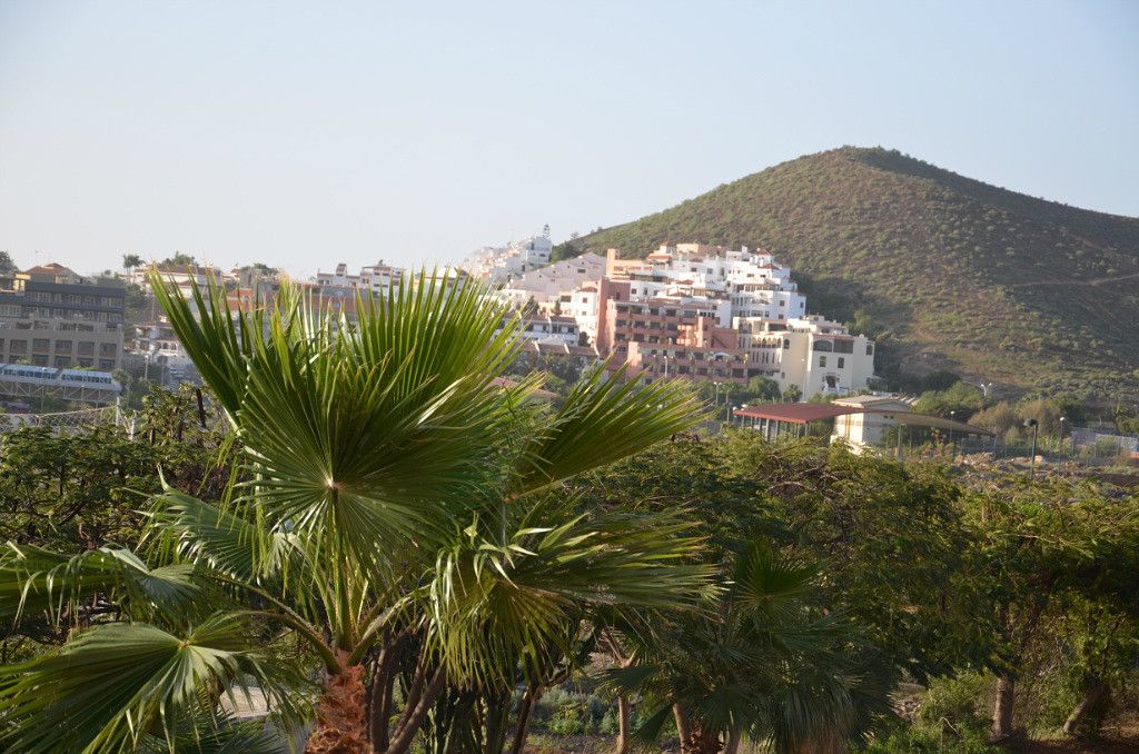 Остров вечной весны или чем прекрасен Tenerife.