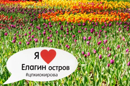 Санкт-Петербург, ЦПКиО им. С. М. Кирова - вариант маршрута для прогулки по Елагину острову, знакомство с парком 