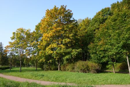 Малоизвестные парки Санкт-Петербурга: Южно-Приморский парк
