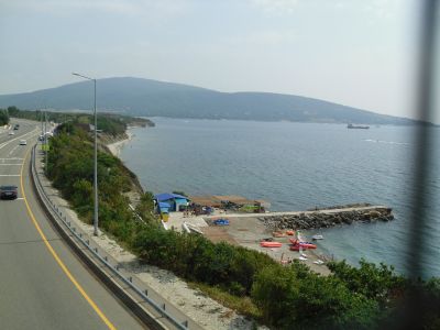 Утро в можжевеловом бору промеж гор