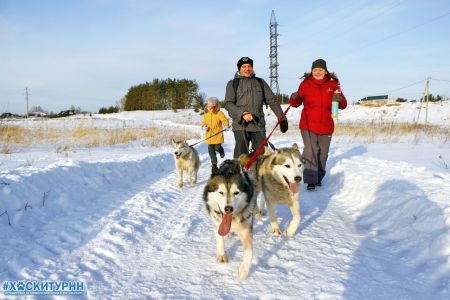 Собачий рай или как провести выходные в Нижнем Новгороде