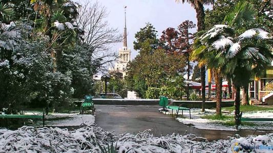 Новый год в Сочи. Как встретить и провести 31 декабря в Сочи. Реальный отзыв непрофессиональных путешественников.