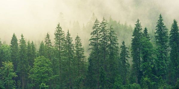 Орловщина - край знаменитых литераторов, православных храмов и памятников архитектуры!