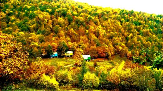 Уютный уголок. По ту сторону цивилизации