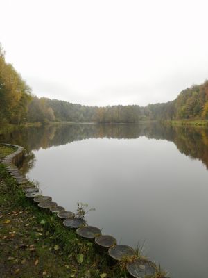 В осеннем плену у Терлецкого лесопарка. 