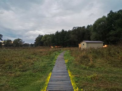 "Зеленая тропа": инфодетокс среди сосен