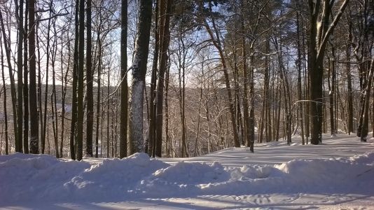 На выходные в подмосковный  д/о «СНЕГИРИ» –  в гости к графу Кутайсову