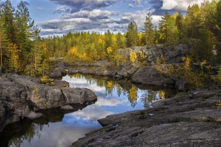Одиночный поход в лес. Как сходить в лес и получить от этого удовольствие