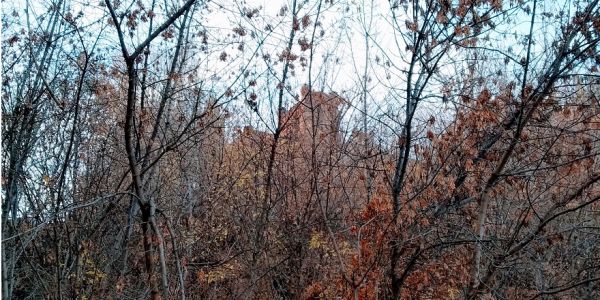 Легенды и реальность Красного Текстильщика