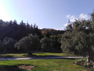 Партенит - жемчужина Южного берега Крыма