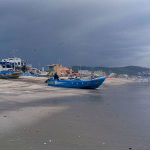 Плохая вода aguamala, Тихий океан и его интересности