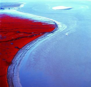 Panjin Red Beach: пляж, где нет песка