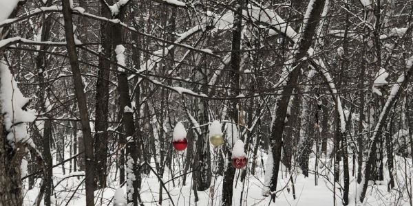  Где покататься на горных лыжах дешево?