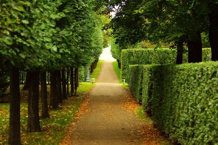 Самые красивые парки Санкт-Петербурга