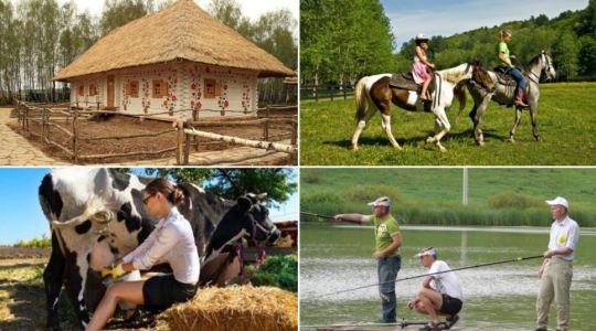 Сельский туризм: экофермы Подмосковья