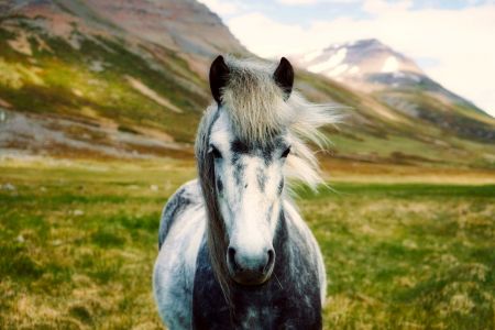 Лучшие страны для фототуров
