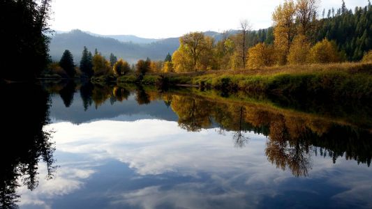 11 Лучших Вещей, Которые Можно Сделать В Престоне
