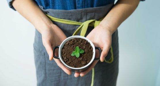Забота о планете: простые способы путешествовать более экологично