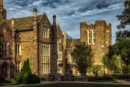 Как Попасть В Duke: Сработавшие Стратегии