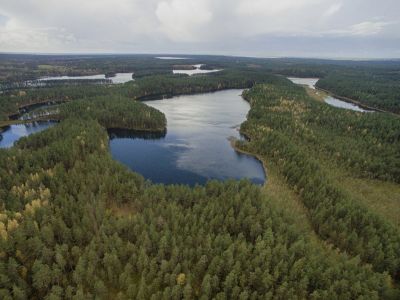Путешествие выходного дня: по экотропе «Гряда Вярямянселькя»