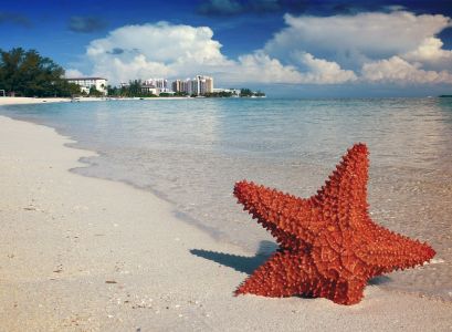 Как весело отдохнуть на Багамах?