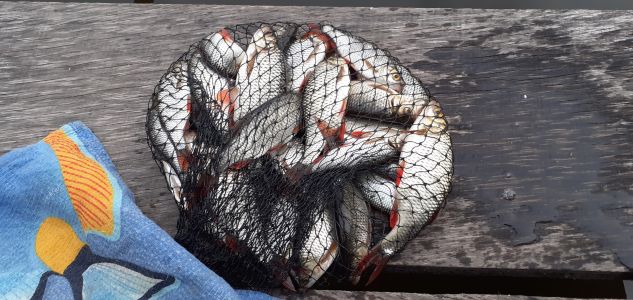 В Астрахань за сногсшибательной рыбалкой и волжской романтикой 