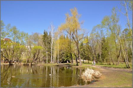 Дендрологический парк в Екатеринбурге