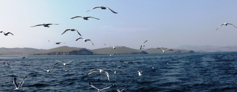 Байкал – самое глубоководное озеро в мире. Увлекательное путешествие к древнейшему водоему