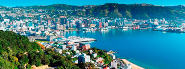 nz1
